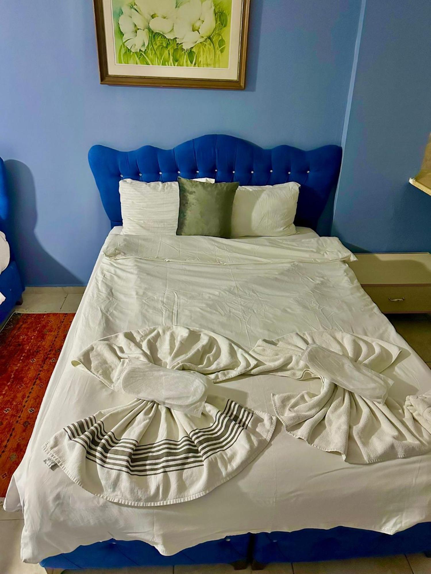 Sultanahmet Raydon Old City Hotel 伊斯坦布尔 外观 照片